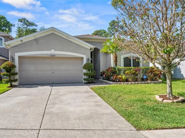 13439 Staghorn Rd, Tampa, FL 33626
