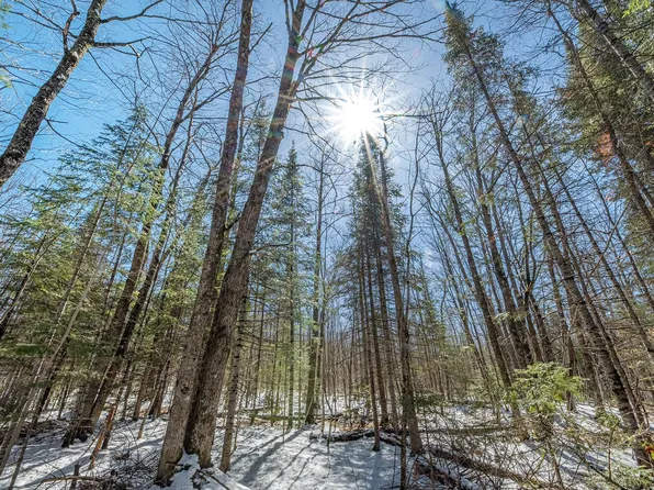 56.97 Ac Hwy #77, Upson, WI 54565