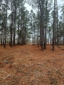2358 Chestnut Rd., Longs, SC, 29568