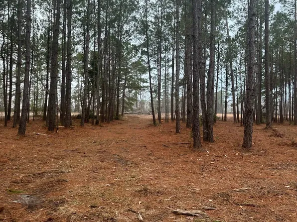 2358 Chestnut Rd., Longs, SC 29568