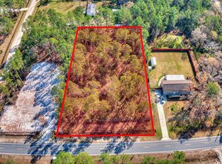 9910 Kirchherr Ave, Hastings, FL 32145