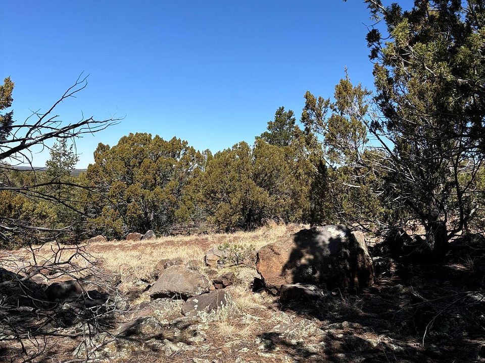 2nd image of 239 Geronimo Dr