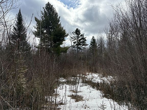 3rd image of 2035 Ventnor Rd