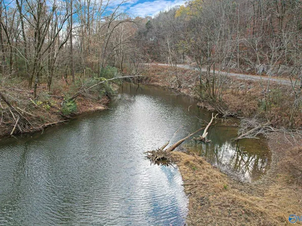 A 507 County Rd, Hollytree, AL 35751