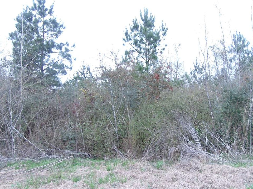 1st image of 0 Old Highway 24 E