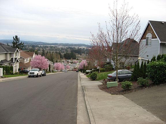 View From the drive way