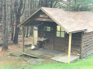 1199 Michigan Hollow Rd, Deposit, NY 13754