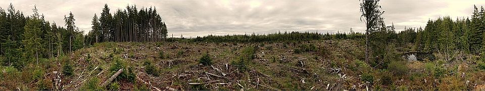 2nd image of 0 Plum St