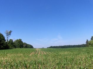 Schellenberger Rd, Manchester, MI 48158