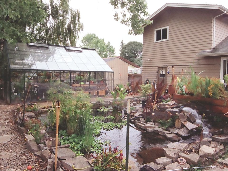 Back yard  pond