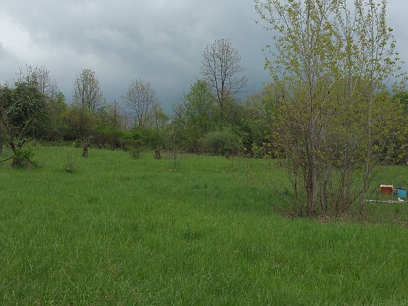 5th image of 45749 County Road 374