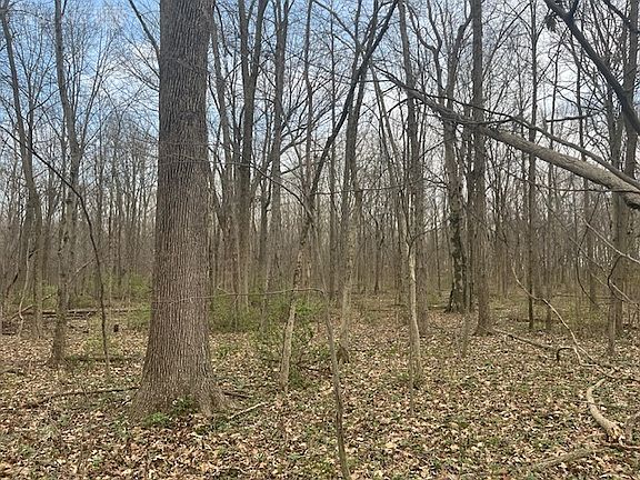 3rd image of 5097 Prices Creek Rd