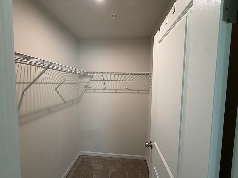 54 Goldspire Dr — Photo 17