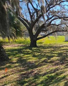 SE 51st Ter, Summerfield, FL, 34491