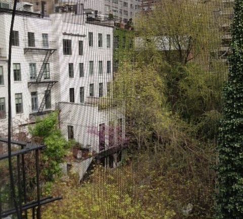 5th image of 789 Lexington Ave APT 5