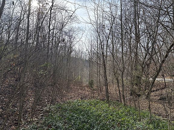 3rd image of 216 Happy Hollow Rd