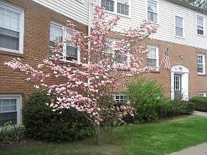 1st image of 151 Huguenot St