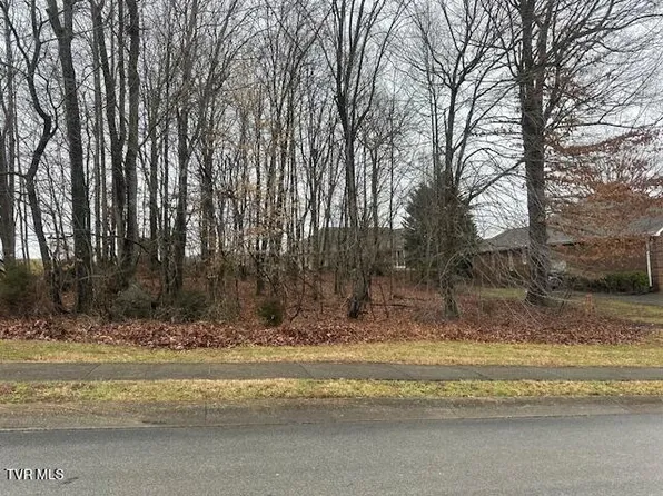 104 Forest Ln S, Blountville, TN 37617