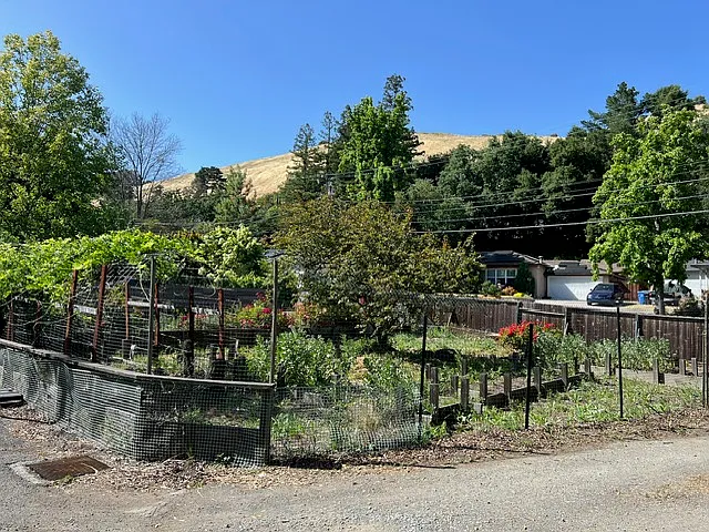 1441 Springbrook Rd — Photo 20