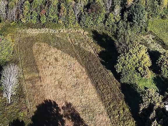 3 acre parcel with property (on right of photo) as you walk into property from East Rd