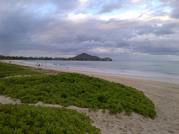 Beach to the left of the access