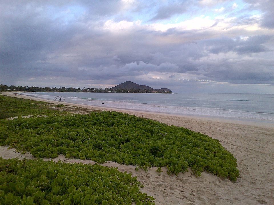 Beach to the left of the access