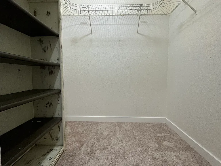 Master bedroom walk-in closet