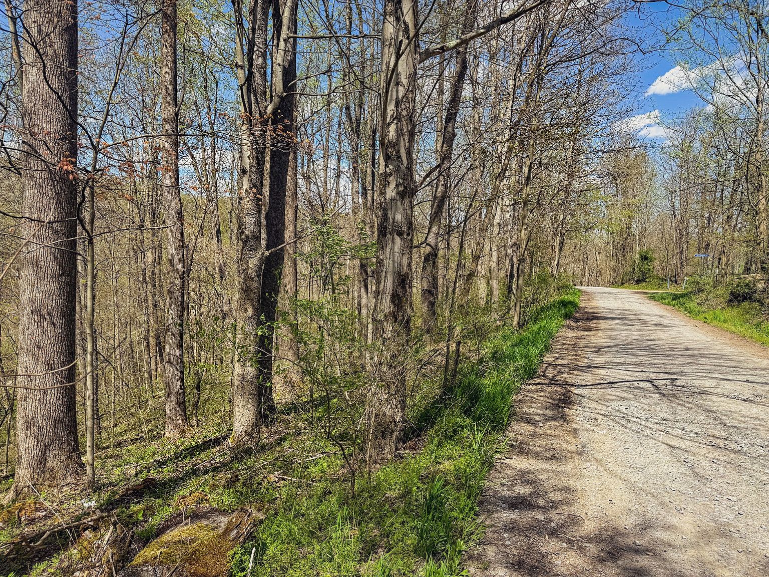 0 Dixon Dr, Albright, WV 26519 MLS 11272777 Zillow