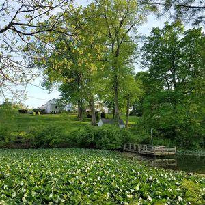 21 Boone Lake Cir #A, Walton, KY, 41094