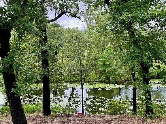 5th image of LOT 14 County Road 4801