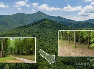 95 Treetops Dr, Candler, NC 28715