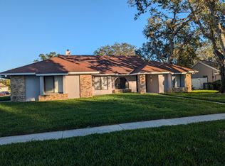 10419 Tara Dr, Riverview, FL 33578