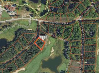 318 Red Tail Trl, Bellaire, MI 49615