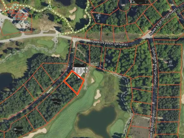 318 Red Tail Trl, Bellaire, MI 49615