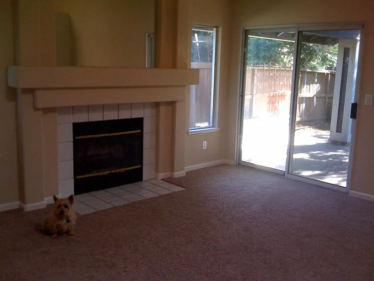8101 Early Morning Way — Photo 2