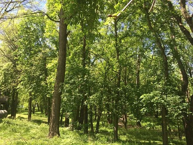 866 Davis Ferry Rd — Photo 18