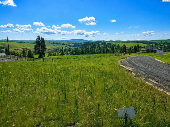 11 Red Tail Ridge Rd, Colfax, WA 99111