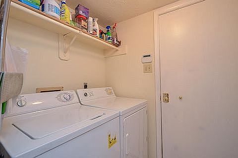 3rd image of 3010 Hollow Creek Dr