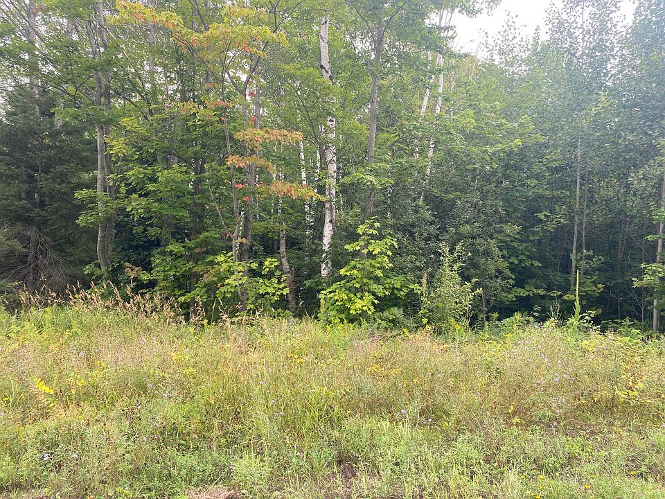 1st image of 0 W Pendills Lake Rd