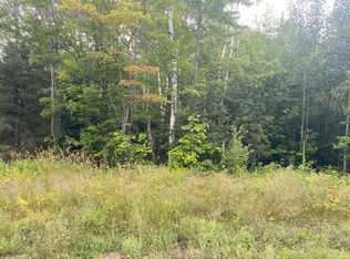 0 W Pendills Lake Rd, Brimley, MI 49715