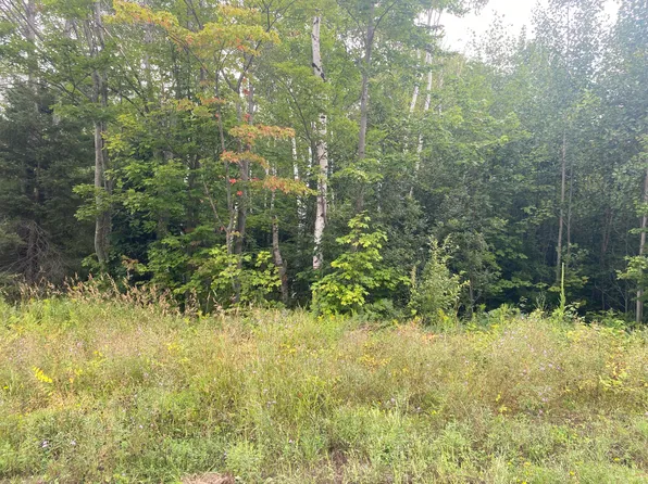 0 W Pendills Lake Rd, Brimley, MI 49715