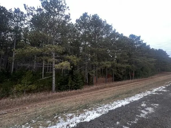 119 County, Nevis, MN 56467