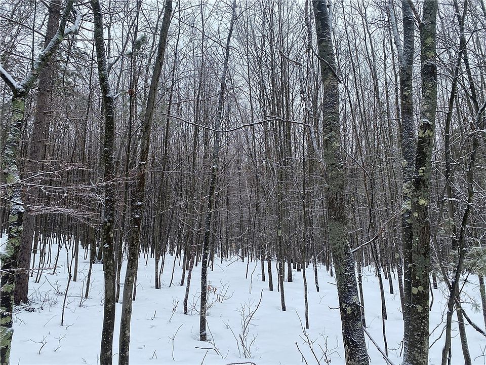 2nd image of Near Seven Mile Road