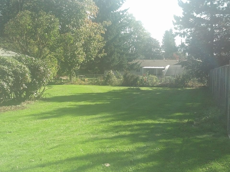 part of large backyard