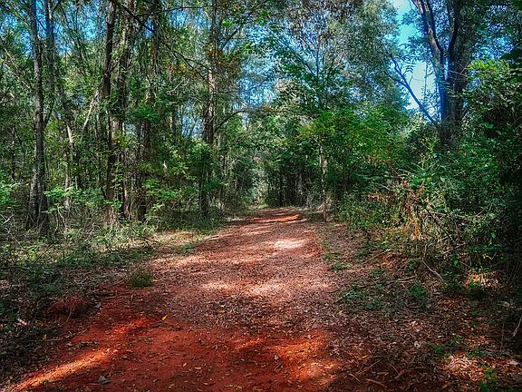 3rd image of 0 Robbs School Rd