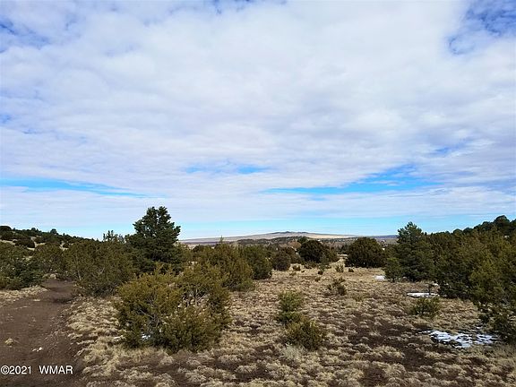 5th image of Tbd Lesueur Dr