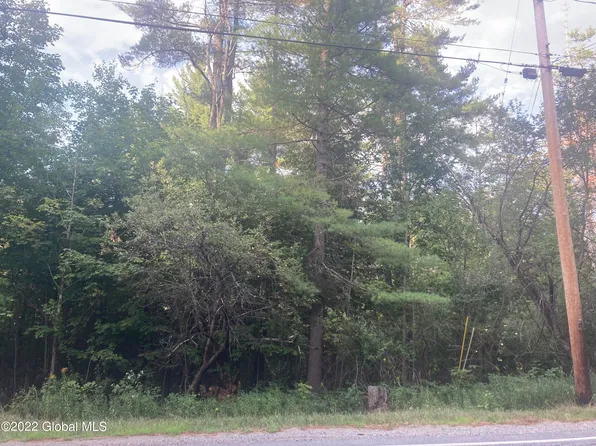 L31.200 County Route 29, Minerva, NY 12851