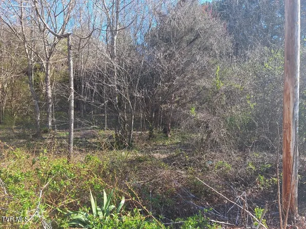 0 Sioux Trl, Greeneville, TN 37743