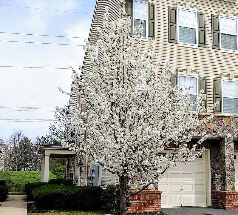 1st image of 11170 Wortham Crest Cir #105