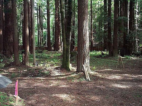 Fenced grounds in front of cabin